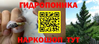a pvp Будённовск